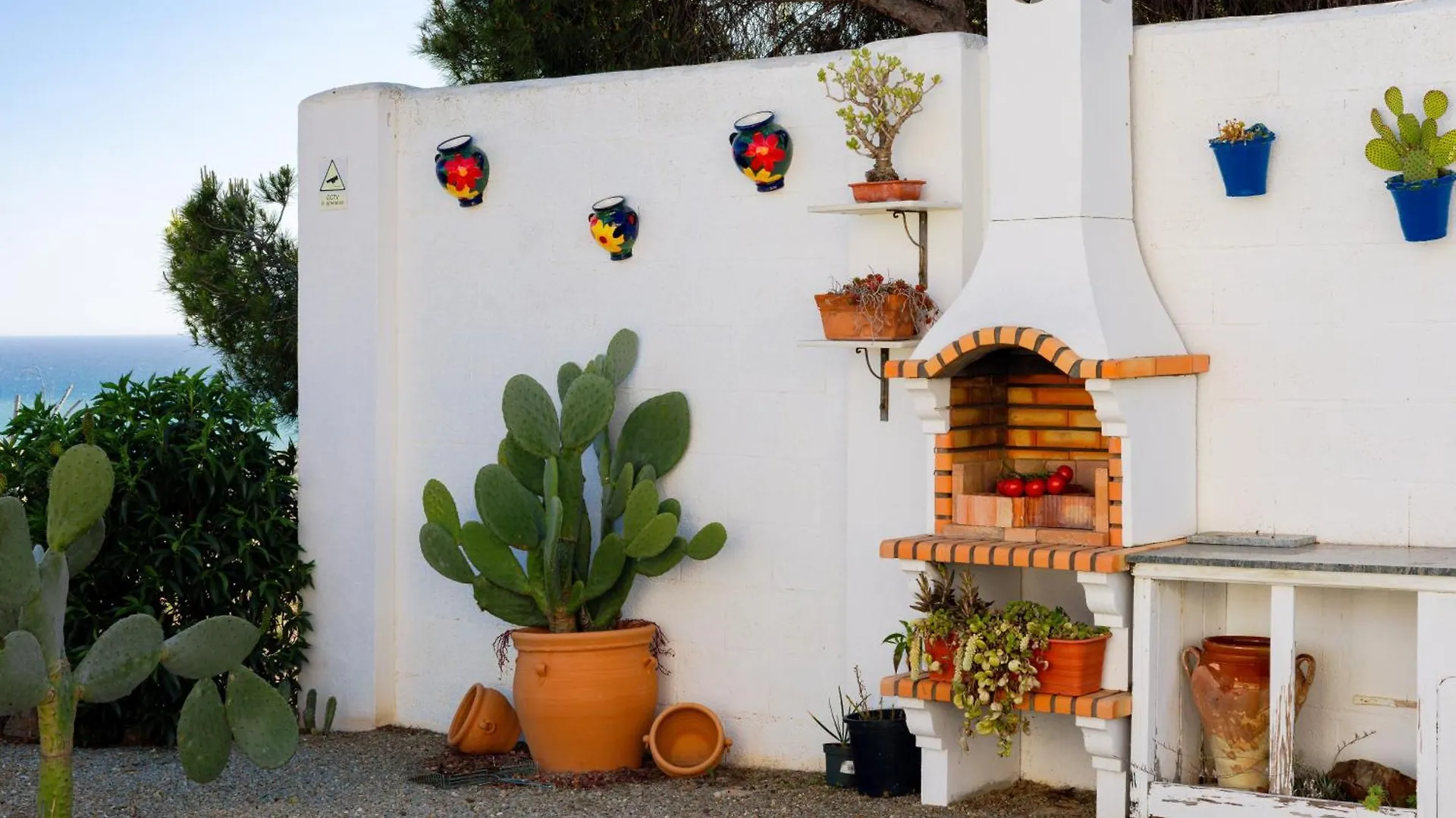 Magnolia House Guest House Malaga 0*,