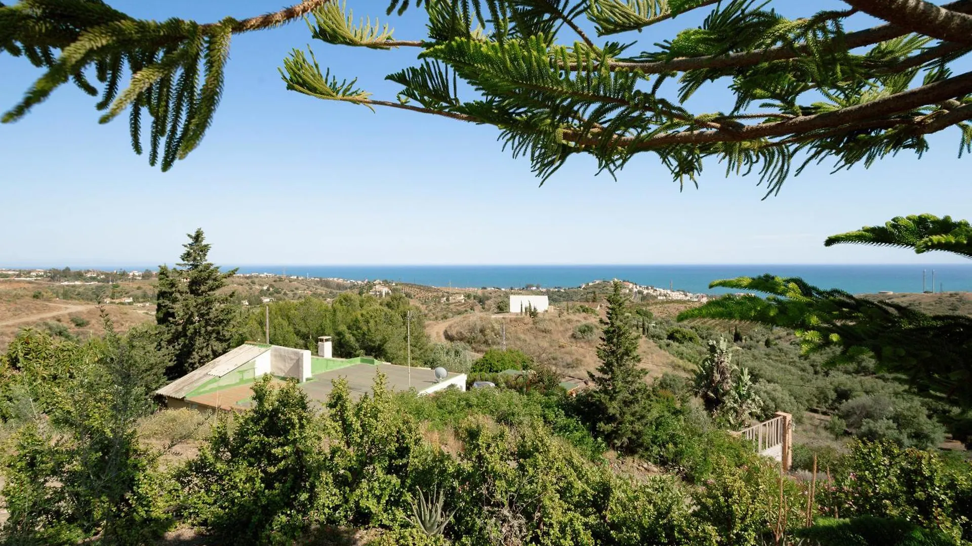 Magnolia House Guest House Malaga
